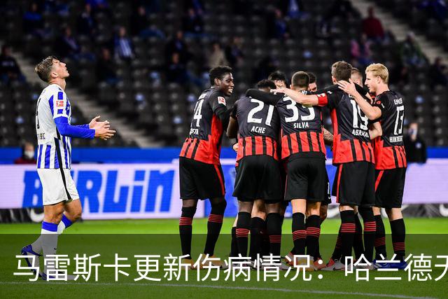 马雷斯卡更新伤病情况：哈兰德无碍 塞梅尼奥缺阵约两个月